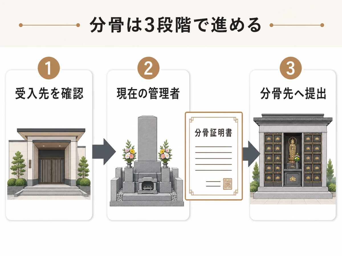 受入先の確認から分骨証明書を分骨先へ提出するまでの3段階